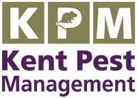 Kent Pest Management image 1